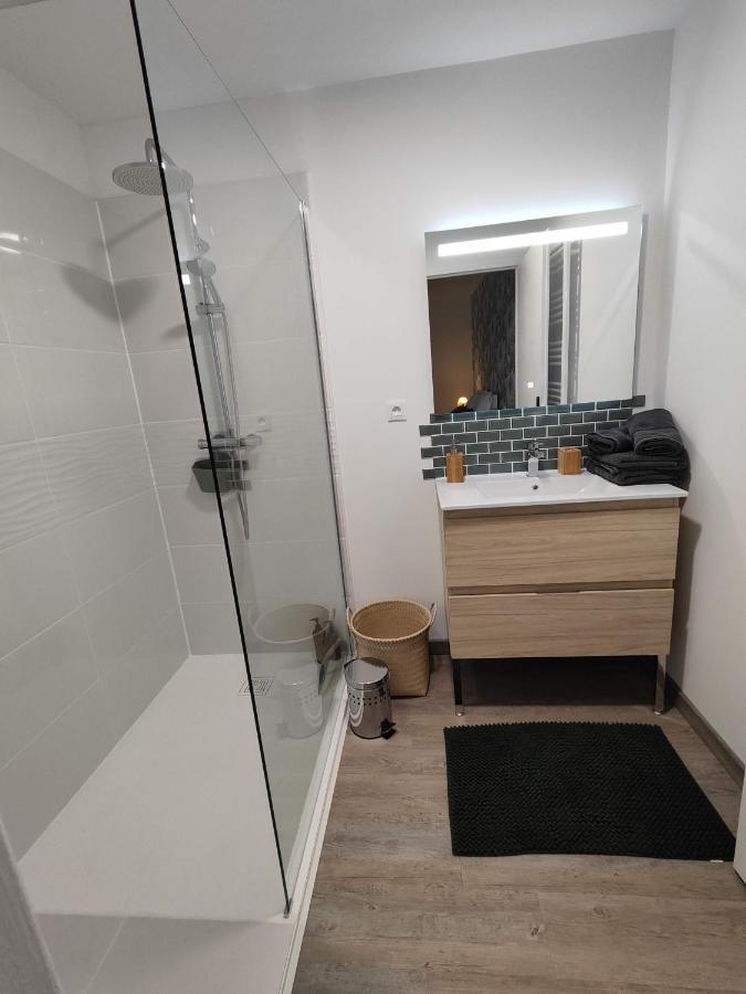 O Loft - 3 Chambres Avec 3 Salles De Bains - Parking - Climatisation Albi Eksteriør bilde