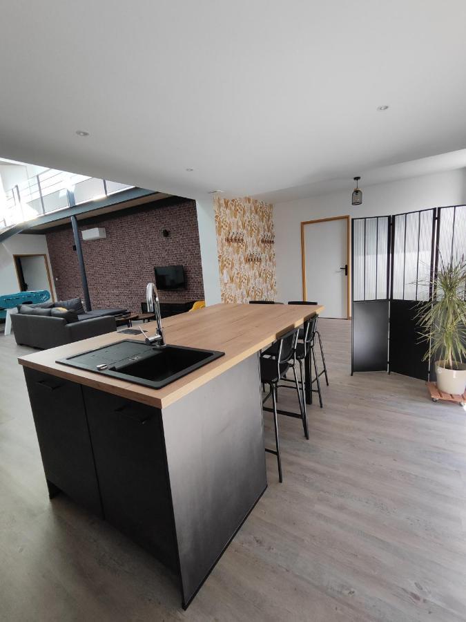 O Loft - 3 Chambres Avec 3 Salles De Bains - Parking - Climatisation Albi Eksteriør bilde